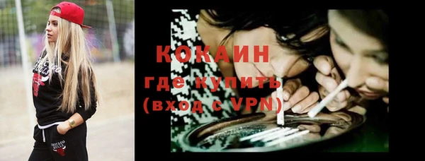 ешки Алексин