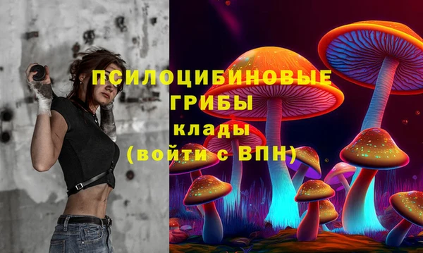 ECSTASY Алзамай