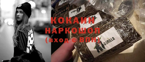 ECSTASY Алзамай