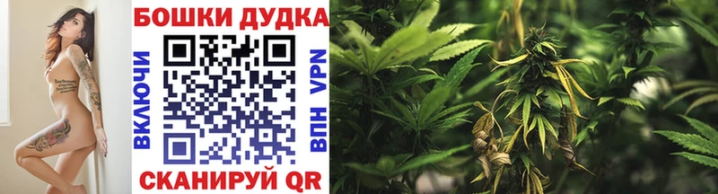 Шишки марихуана OG Kush  Елец 